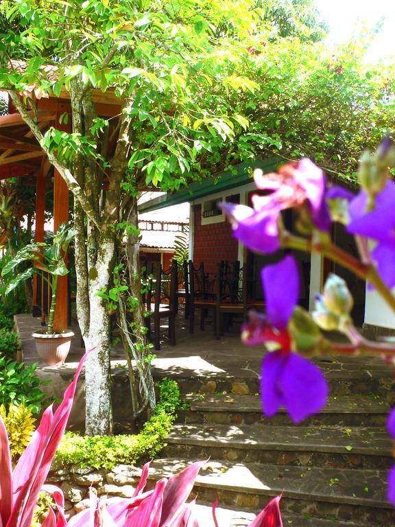 Bubinzana Magical Lodge 타라포토 외부 사진
